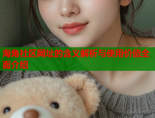 海角社区网址的含义解析与使用价值全面介绍  第2张