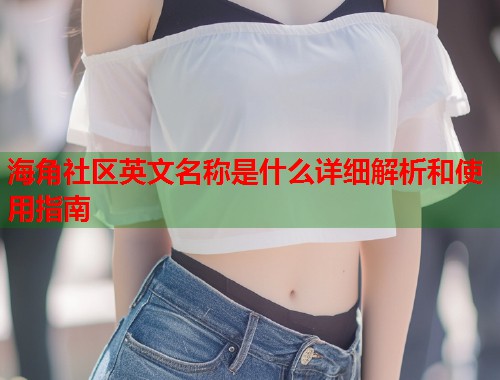 海角社区英文名称是什么详细解析和使用指南  第1张