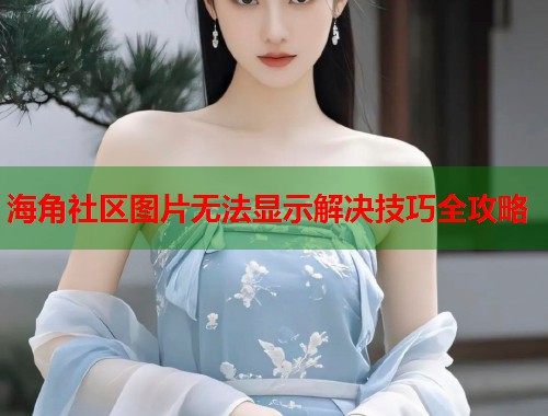 海角社区图片无法显示解决技巧全攻略  第1张